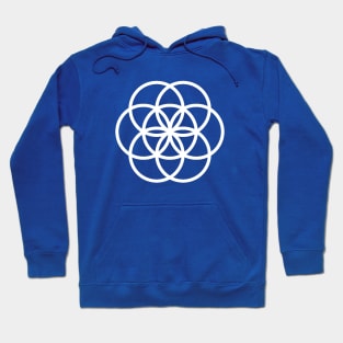 The international flag of planet earth Hoodie